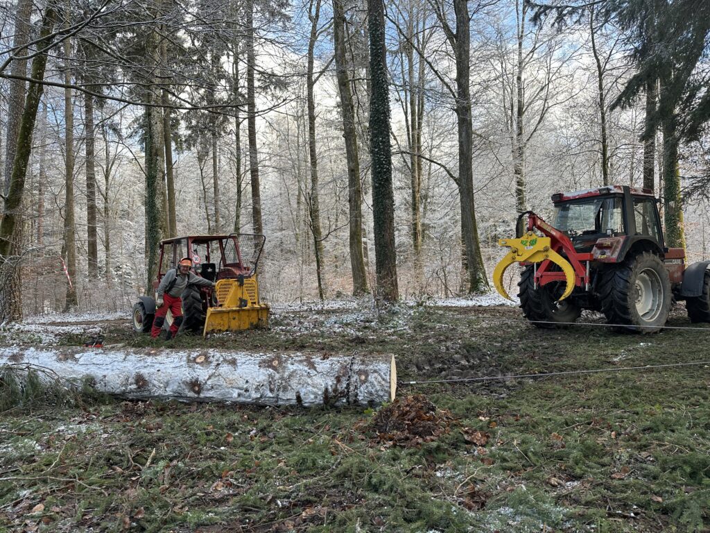 Waldwirtschaft Jan 2025